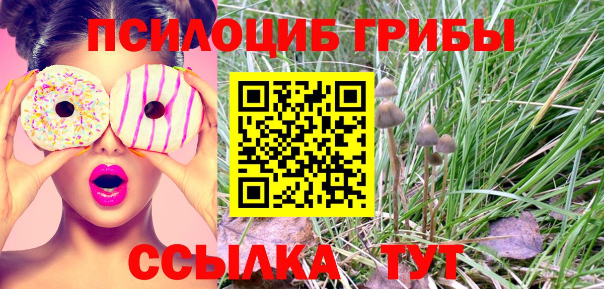 Галлюциногенные грибы Magic Shrooms  Вход с VPN  купить наркотики цена  Вятские Поляны  Псилоцибиновые грибы мицелий 